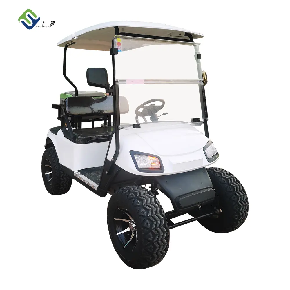 China Hot Verkoop Of Elektrisch Aangedreven 2-zits Club Auto Golfkarretjes Buggy Met Off-Road Banden En Lithium Batterij
