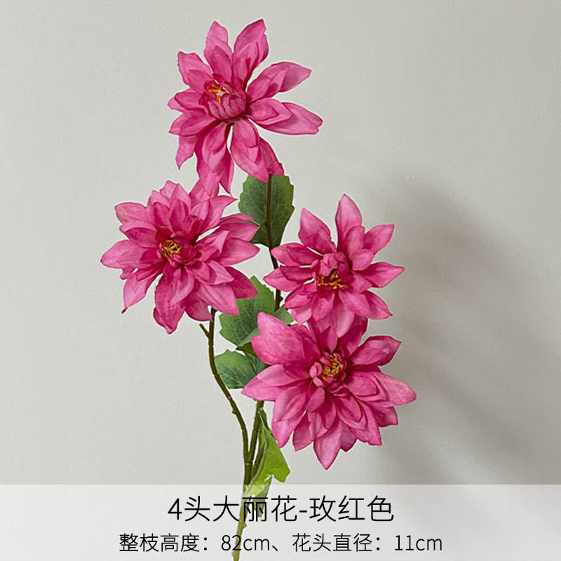 Rose red 4-headed dahlia