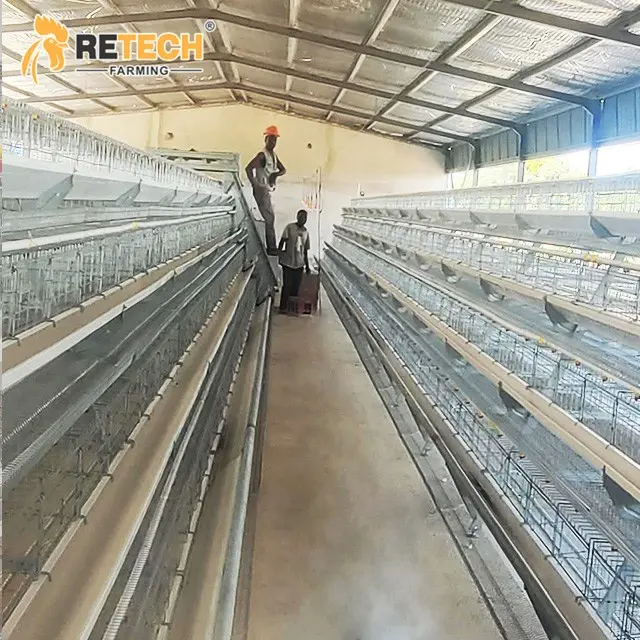 Geflügelbatterie Hühnerkette automatische Kette und Broiler Geflügeleier Hühnerkäfig