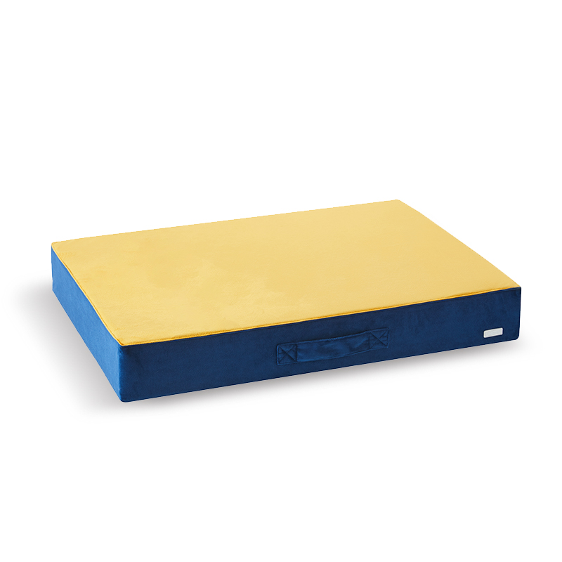 Bleu royal/jaune