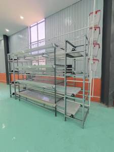 लंबे समय तक हाथ से क्रैंक्ड खाद कन्वेयर बेल्ट बिछाने के लिए मुर्गी पिंजरे एच प्रकार बिछाने के लिए - Product Image 4