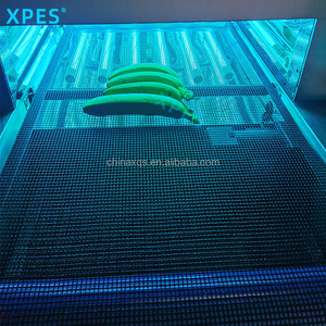 UV Khử Trùng Thực Phẩm Đường Hầm Với Tia Cực Tím Khử Trùng Đèn Sữa Rau Khử Trùng Máy - Product Image 2