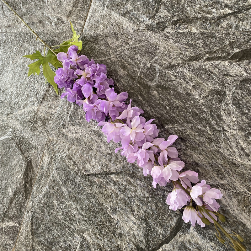 Viola chiaro