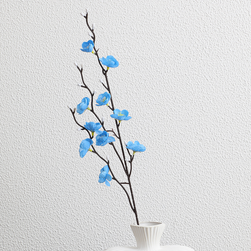 Mini Wintersweet, Bleu
