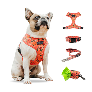 Set Tali Kekang dan Kekang Anjing Bulldog Perancis Jaring Pelangi Yang Dapat Disesuaikan Desain Mode Cetak - Product Image 1