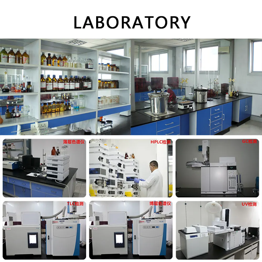 Docosahexaenoic Acid ผง E DHA ผลิตจากโรงงาน