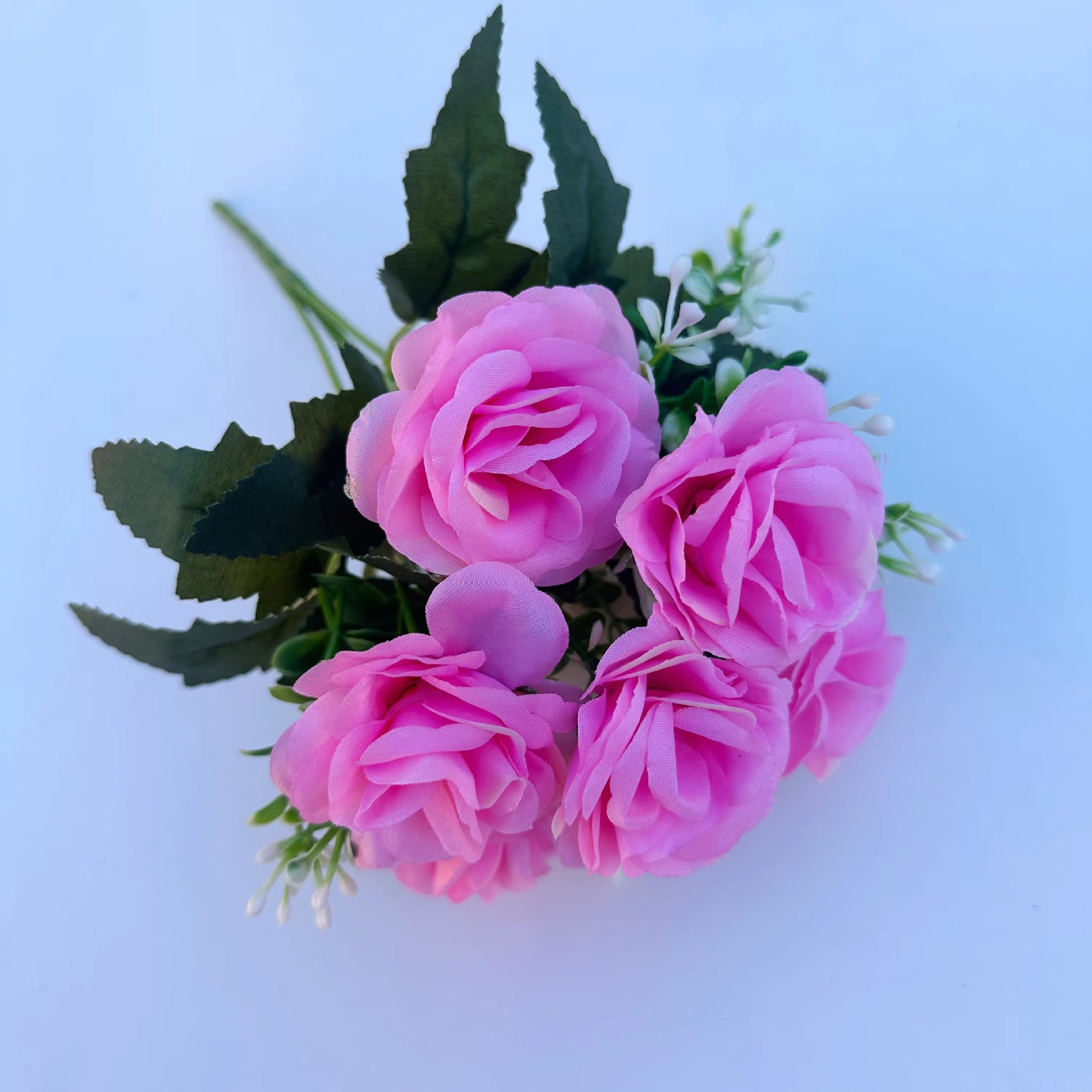 Rosa