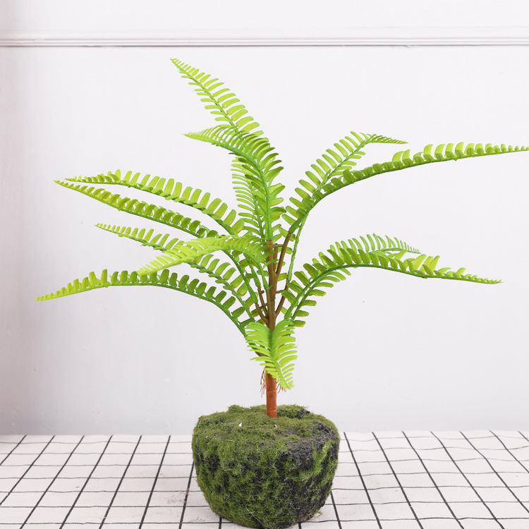 Petite herbe persane