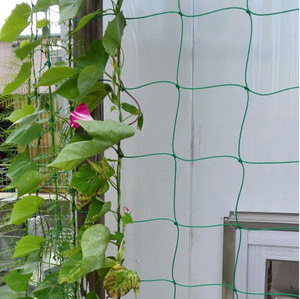 Custom Cut Langlebiges HDPE PE Kunststoff Diamond Garden Mesh Hagel netz für den Schutz der Landwirtschaft - Product Image 6