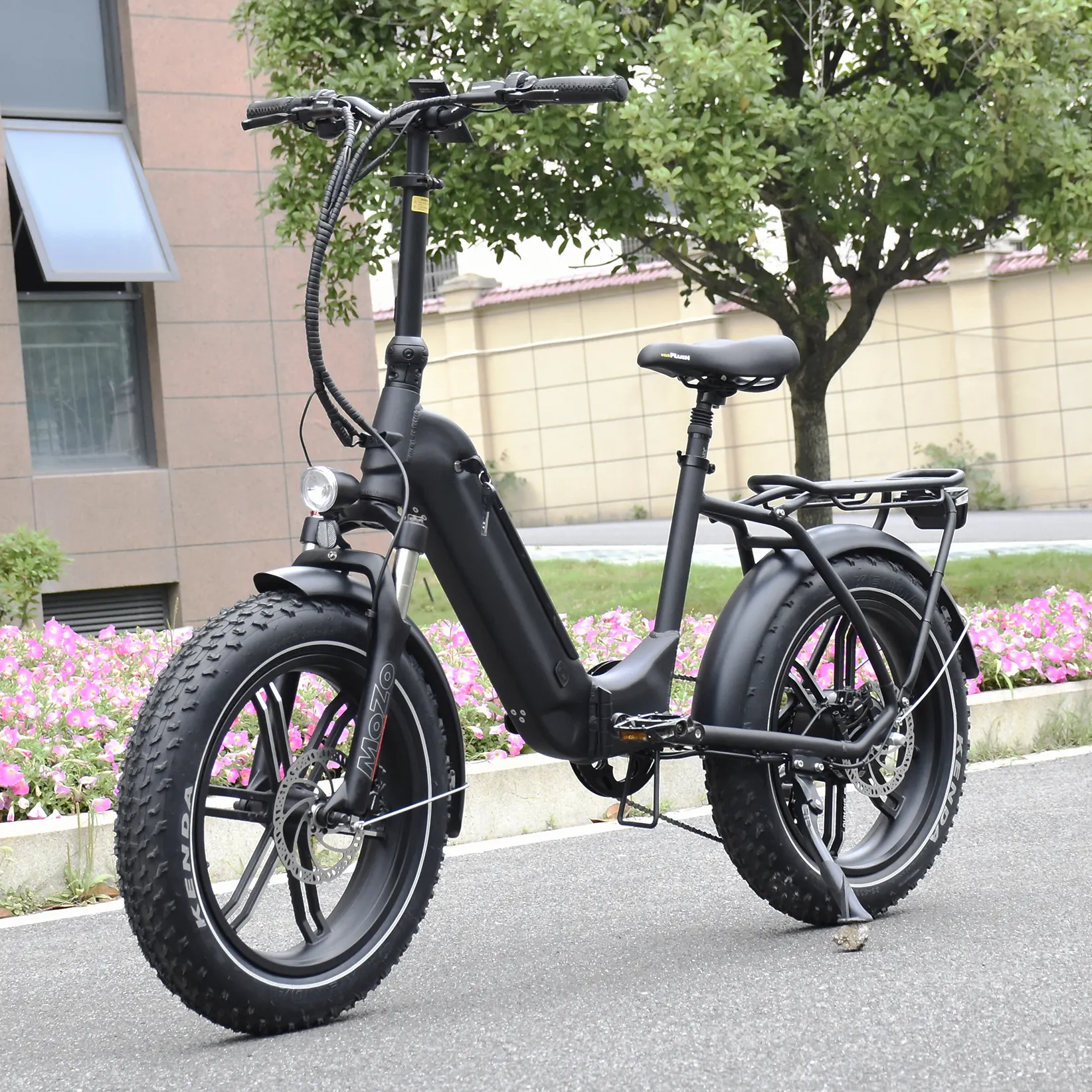 Bici elettrica pieghevole con motore mozzo posteriore 250W/350W/500W E-Bike 20 "Logo personalizzato batteria al litio Display LCD 48V personalizzabile