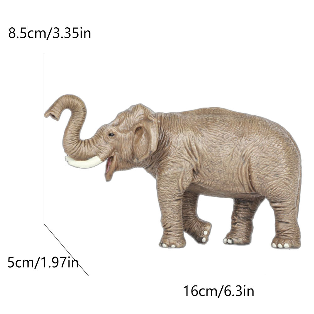 015 asian female elephant 2045g