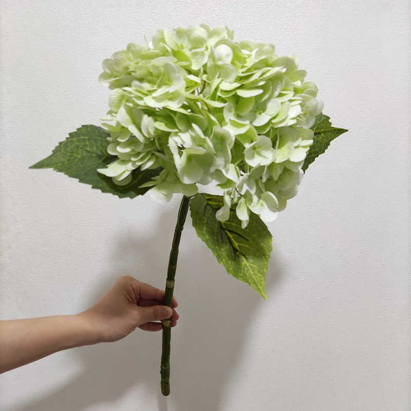 verde 3