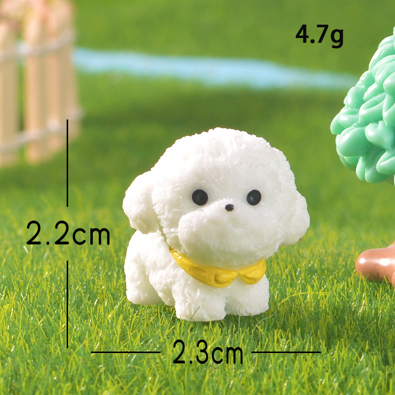 Bichon Frisé