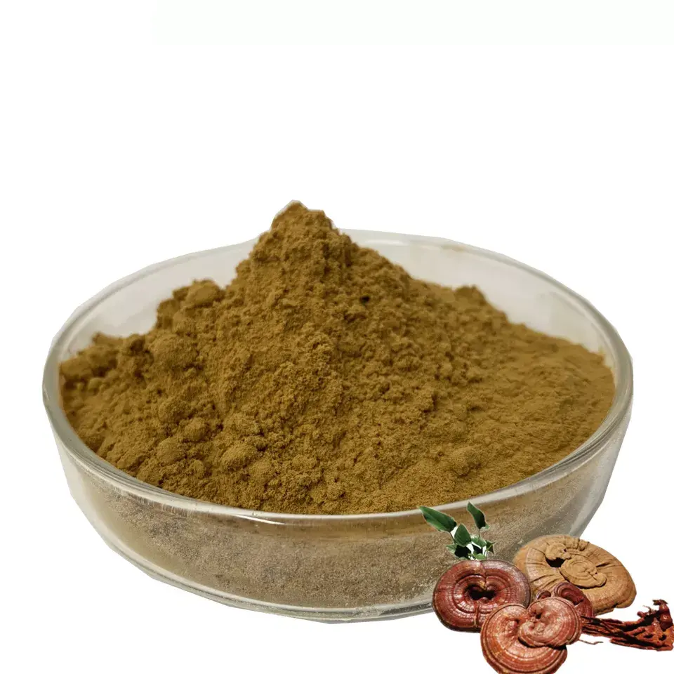 Extracto de Ganoderma lucidum 10:1 de alta calidad, extracto de hongo Reishi en polvo, extracto de hongo Reishi