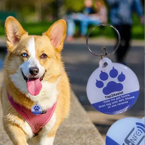 Venta superior 13,56 MHz Código Qr personalizado y Url programable Epoxy Nfc Pet Id Collar Tag para perro/gato - Product Image 2