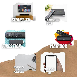 Popular Selling Small MOQ Support HEVC H.265 Video <strong>Decoder</strong> Full HD <strong>Linux</strong> IPTV TV Box - Product Image 5