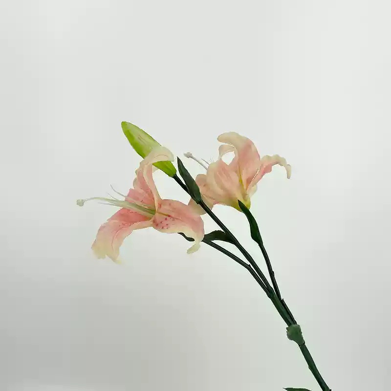 สีชมพู