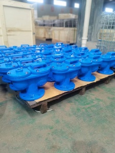 水管系统用铸铁放气阀球墨铸铁手动气体减压阀 - Product Image 5
