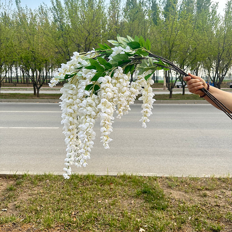 Blanc