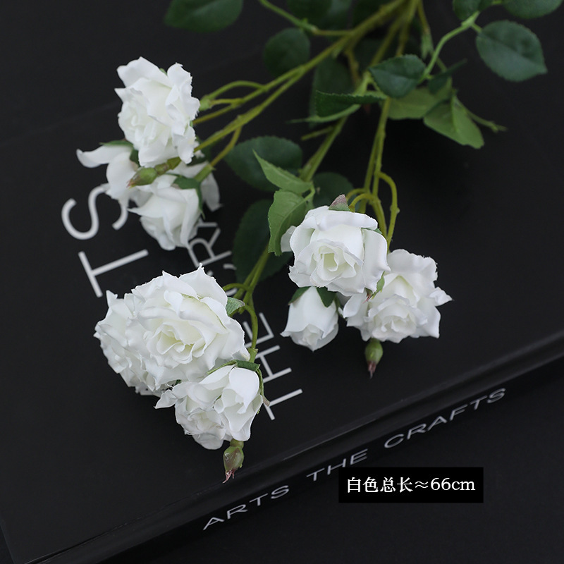 Blanc