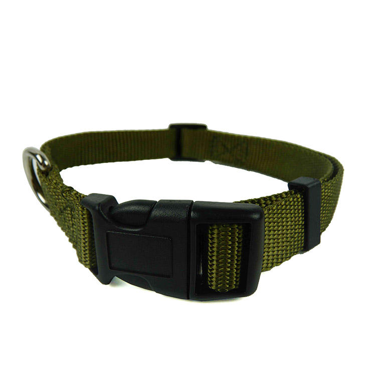 ปกสีเขียว