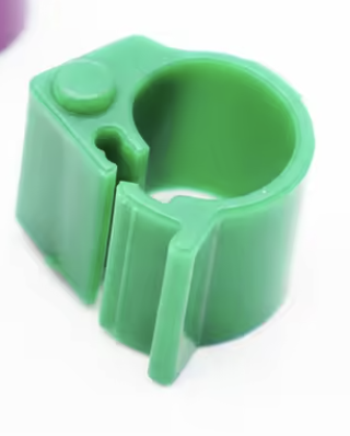 Vert