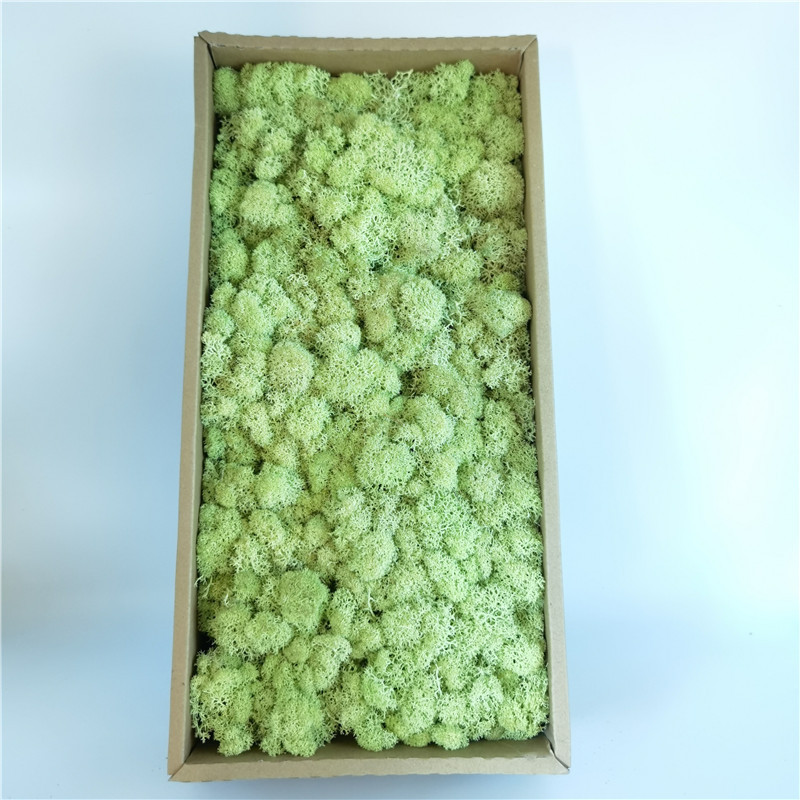L05 verde chiaro-500g