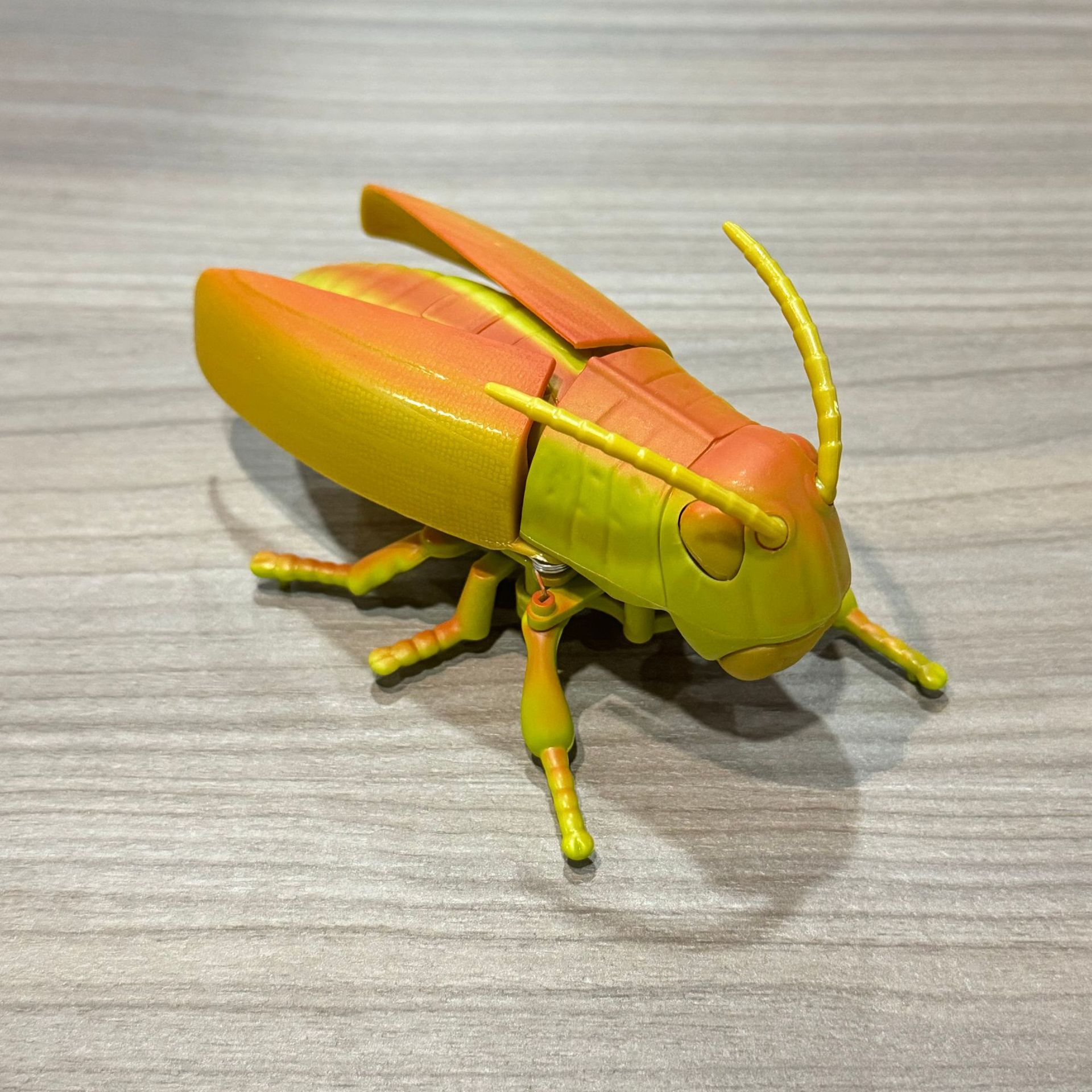 Chain of grasshoppers-crimson