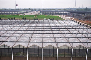 Tùy chỉnh lớn hiện đại thông minh nhà kính cho nông nghiệp trồng tham quan đôi PE lớp với dù để che nắng <span class=keywords><strong>Net</strong></span> - Product Image 2