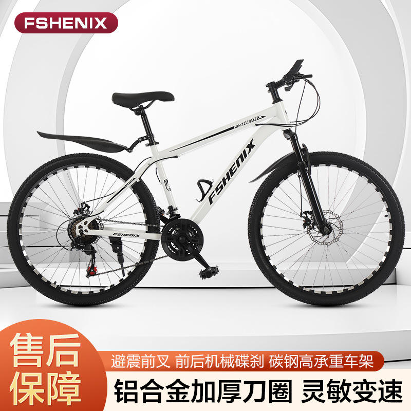 Rueda de radios blanco nieve