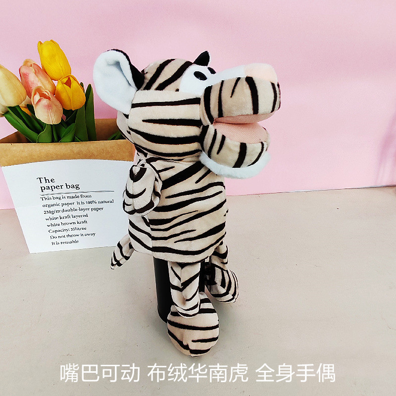Full-body white tiger open mouth