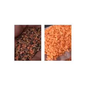 Macchine agricole ottiche selezionatrice di lenticchie altre macchine per la lavorazione delle noci - Product Image 6
