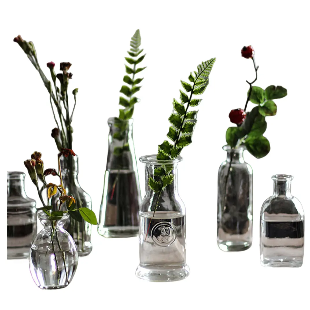 Mini jarrón de cristal transparente moderno, jarrón creativo de plantas cultivadas con agua de trompeta, venta al por mayor