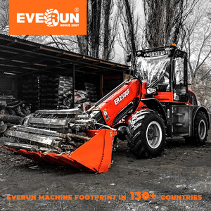CE EVERUN Fabricante EPA CE 2.5ton ER2500f Boom Compact Telescópica Pequena Carregadeira de Rodas Teleskoplader Preço para venda - Product Image 5