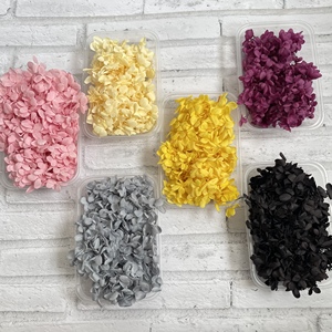 花の装飾のための箱に卸売ドライフラワー本物の花保存アジサイ10g - Product Image 2