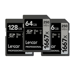 Authentic Hot Sale Lexar 1667X SD Card 64GB 128GB 256GB <strong>Memory</strong> Card SDXC UHS-II U3 3D <strong>Flash</strong> Card Max 250MB/s for 4K Video Camera - Product Image 5