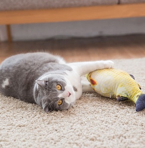 Juguete de simulación de hierba gatera para gatos, herramienta de entrenamiento para mascotas, pescado de menta, mordedor, almohada para morder, tablero para rascar - Product Image 6