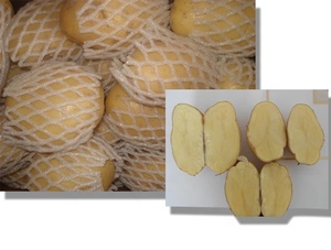 Çin yeni hasat iyi fiyata % 2024 taze patates - Product Image 3