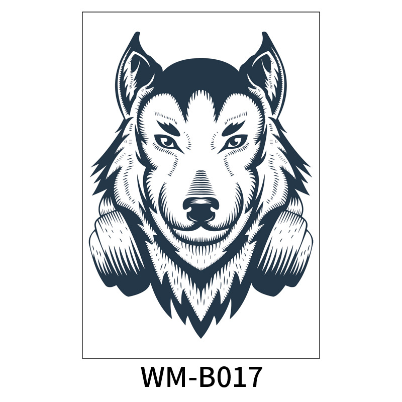 WM-B017