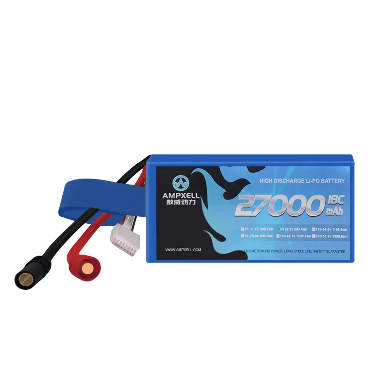 AMPXELL 44.4v 12s 15C professional 12s1p 3.7v 2700mAh smart battery for tello drone RC Models