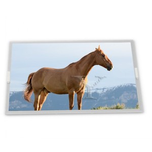 โมดูลหน้าจอ LCD แบบ WLED ขนาด13.3นิ้ว L5F30812P00ความละเอียดสูง1024*768สำหรับการใช้งาน LCD ต่างๆจากซัพพลายเออร์ ODM - Product Image 1
