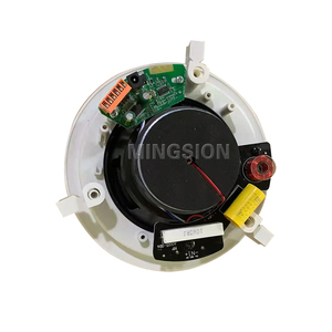 20W 5英寸HiFi有源扩音天花板扬声器，带数字功率放大器模块，用于远程公共广播系统 - Product Image 1