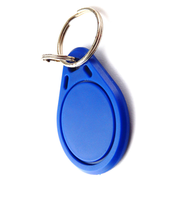 Programador de diseño personalizado, 125khz, Chip pasivo clásico 1K 4K, RFID, llavero