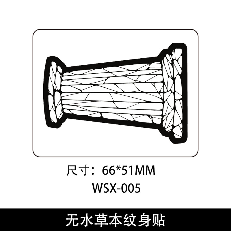 WS-005