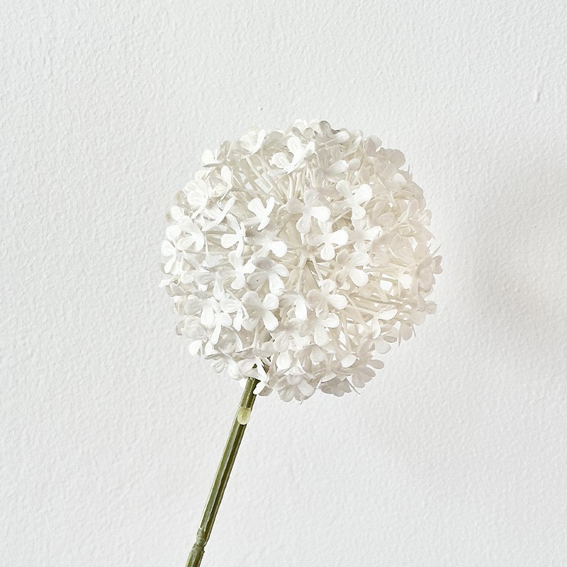 Boules d'oignons verts blancs-no 2