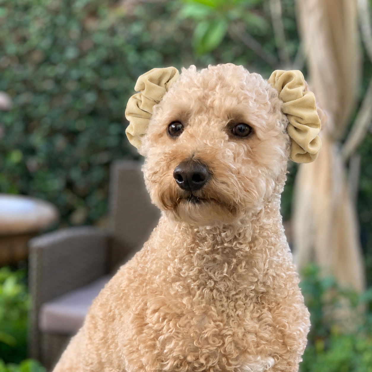 Scrunchie amarillo