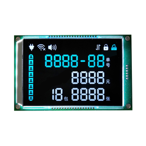 Werkseitig an Fahrzeugen montierte Wasser-und Stromzähler TN STN FSTN HTN Sieben-Segment-LCD-Display zum Wiegen der Waage - Product Image 3