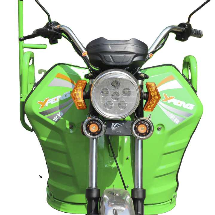 Good Price E-rickshaw Differential with Brake System Garbage Tuck Transportation Truck with Two Buckets