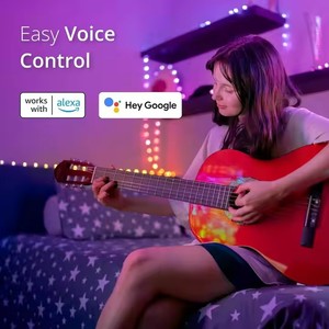 スマートLEDストリングライト (音楽同期 & アプリコントロール付き)-クリスマス、ハロウィーン、結婚式、パーティー、ホーム用装飾照明 - Product Image 3