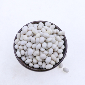 以有竞争力的价格批发干白芸豆黄油豆子